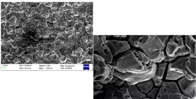 丽江丽江蔡司丽江扫描电镜